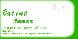 balint ammer business card